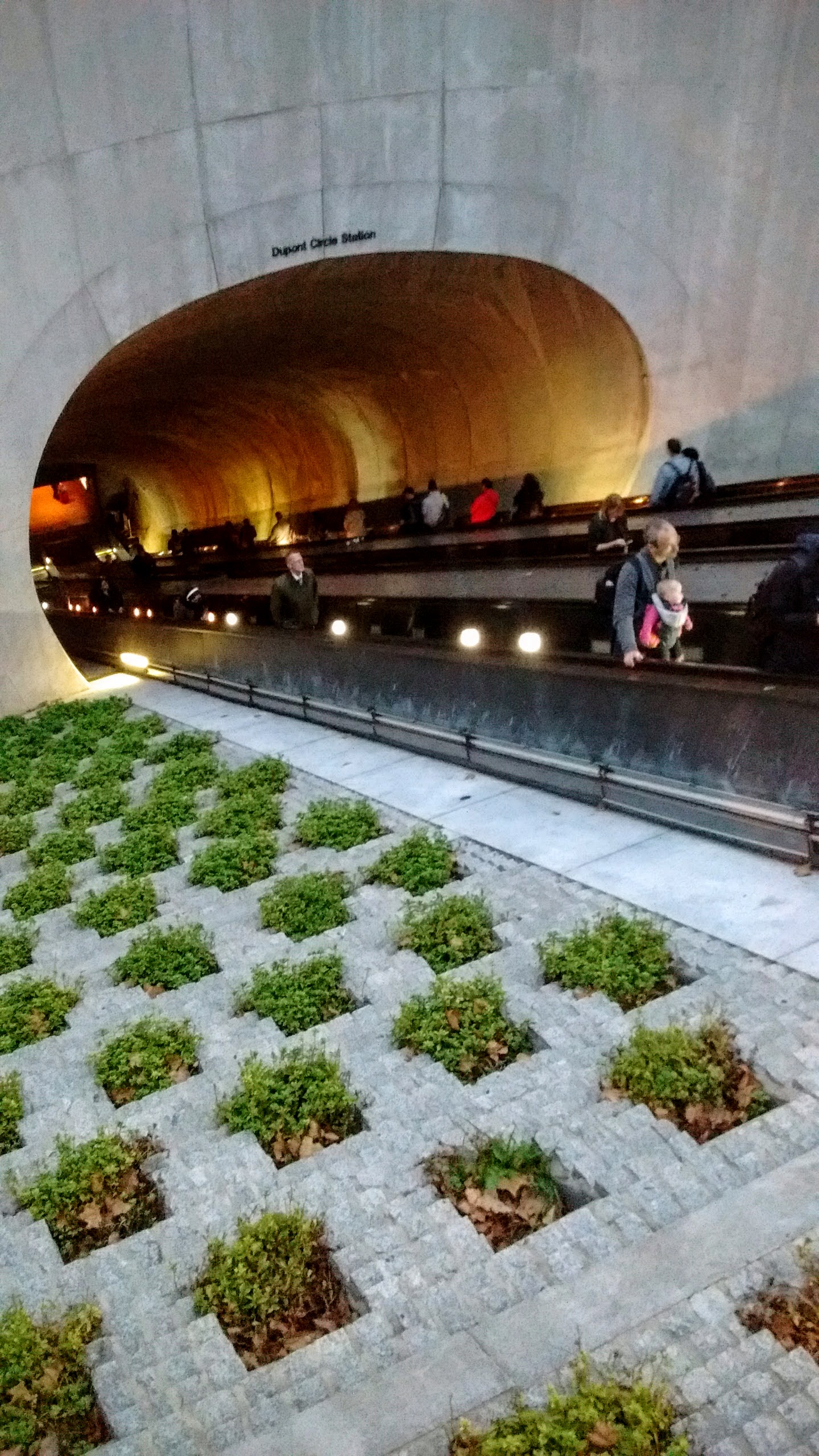 Greening the DC Metro