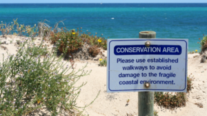 Coastal Nature-Based Solution