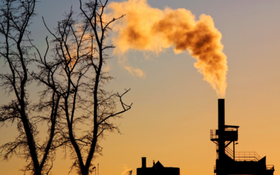 Social Costs and Implications of Pollutants